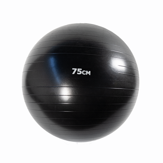 75cm Anti Burst Gym Ball